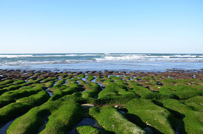 Scenic view of sea against clear blue sky