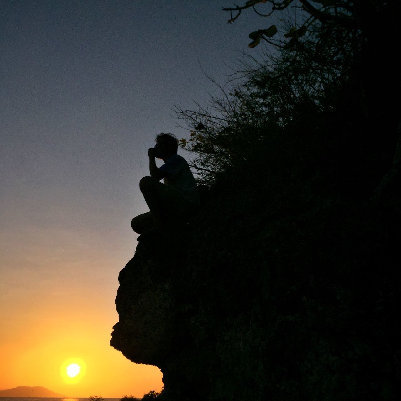 silhouette, sunset, low angle view, tree, clear sky, sky, sun, tranquility, copy space, nature, beauty in nature, scenics, tranquil scene, orange color, outdoors, dusk, outline, sunlight, idyllic, back lit