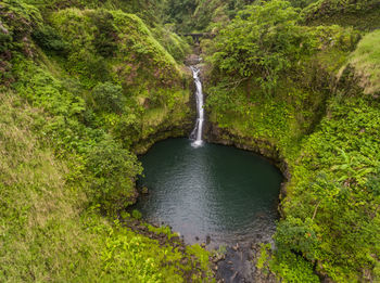 Scenic view of waterfall in forest