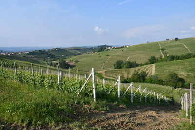 View of the langhe hills at springtime, unesco w.h. site, piedmont, italy