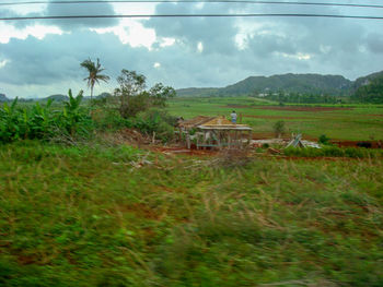 Scenic view of field against sky