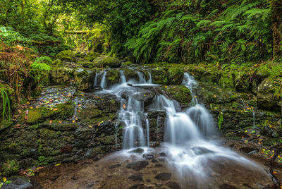 Waterfall in forest