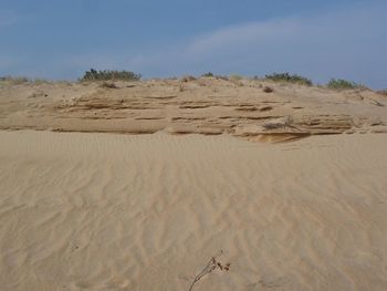 Scenic view of desert