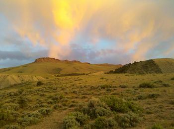 Scenic view of landscape against sky