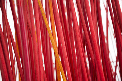 Full frame shot of multi colored curtain