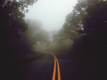 Road passing through forest