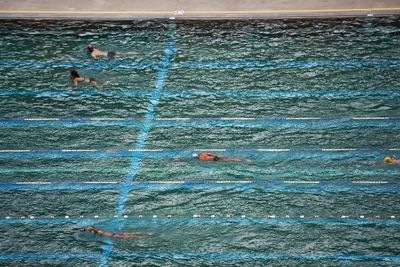 Man swimming in sea