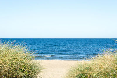 Scenic view of beach