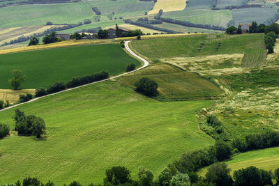 High angle view of agricultural landscape