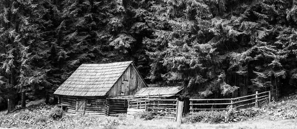 Abandoned built structure against trees