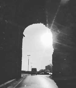 Sun shining through trees