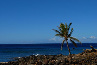 Scenic view of sea against clear blue sky