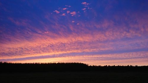 Silhouette trees on field against sky at sunset