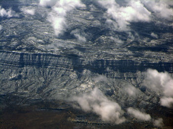 Close-up of trees against sky during winter