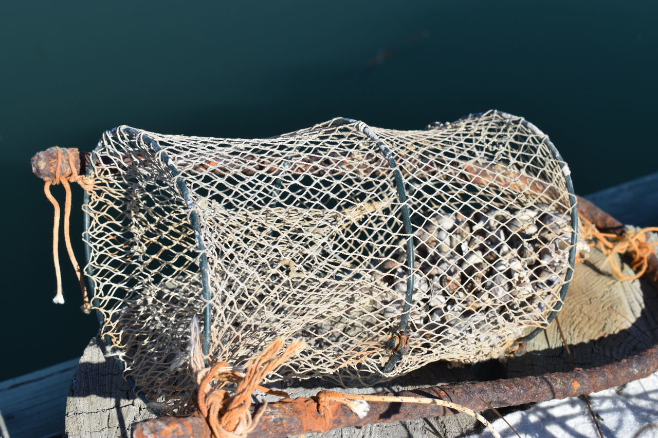 no people, fishing, fishing industry, fishing net, nature, outdoors, close-up, day, sunlight, focus on foreground, pattern, animal, commercial fishing net, food and drink, fish, animal themes, sea, security, protection, metal