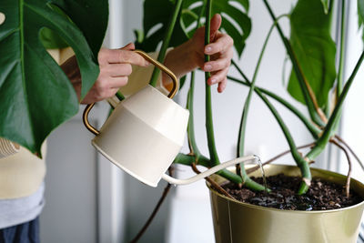 Cropped hand of woman watering plant