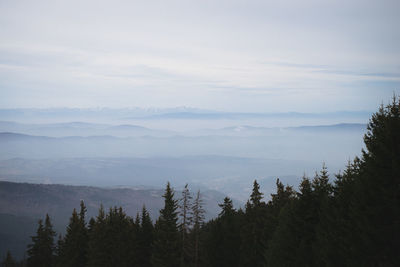 Scenic view of cloudy sky