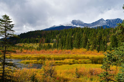 Scenic view of lake and trees against sky