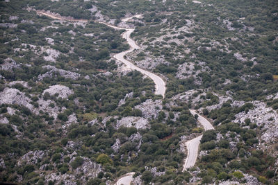 High angle view of trees and mountains