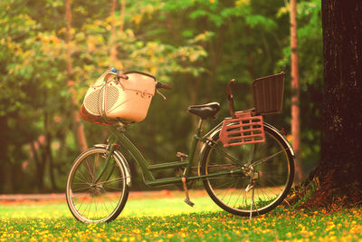 Bicycle in basket on field