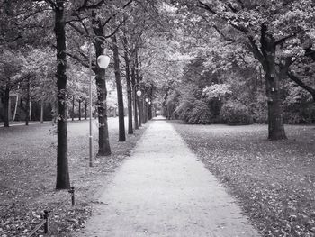 Empty road amidst trees