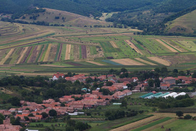 High angle view of agricultural field and houses