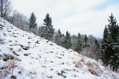 View from mountain top in winter with snow and stones. misty forest and melancholy mood in landscape