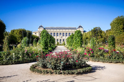 View of plants in garden