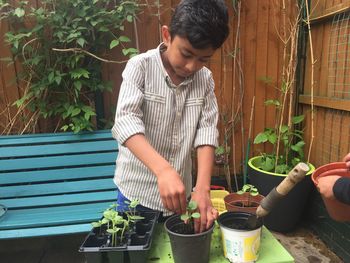 Little boy potting plants in back yard
