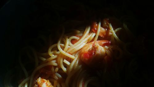 Close-up of crab in the sea