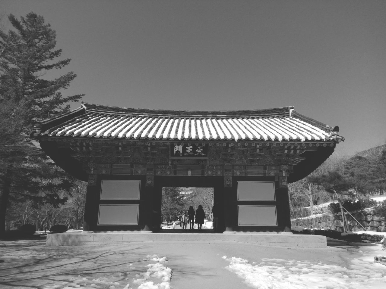 architecture, built structure, building exterior, tree, clear sky, day, roof, winter, outdoors, cold temperature, sky, snow, no people, nature