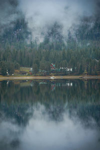 Scenic view of lake in forest against sky