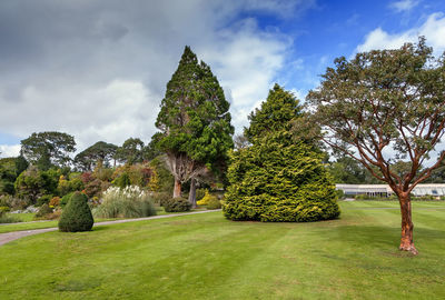 Trees in park against sky