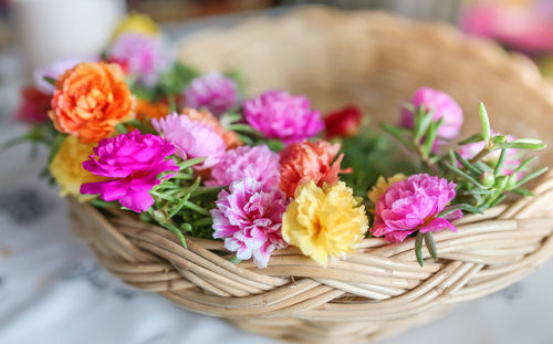 High angle view of pink flowers on table