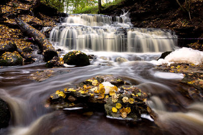 Scenic view of waterfall in forest