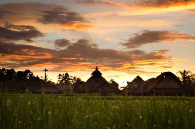Scenic view of field against sky at sunset