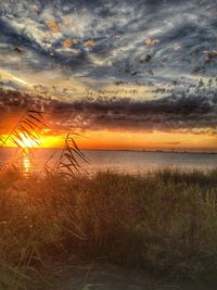 Scenic view of sea during sunset