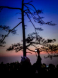 Close-up of silhouette tree against sky at dusk