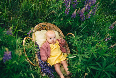 High angle view of young woman standing amidst plants