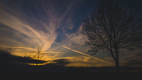 Low angle view of silhouette trees against sky at sunset