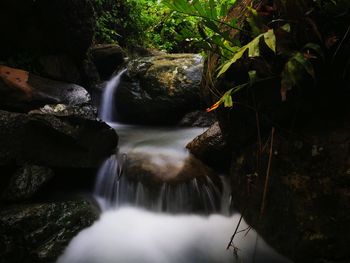 Scenic view of waterfall in forest