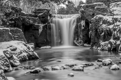 Scenic view of waterfall in forest