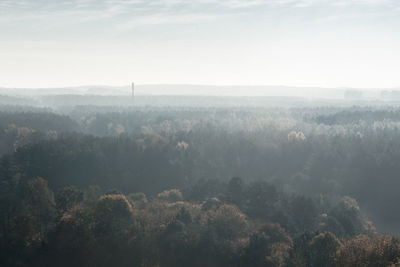 High angle view of trees on landscape against sky