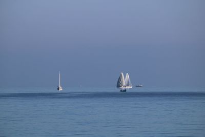 Sailboat sailing in sea against clear sky