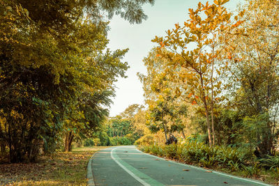 Road amidst trees against sky during autumn