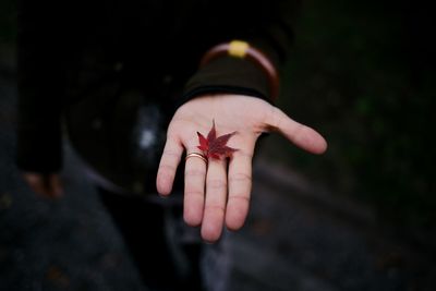 Close-up of man hand