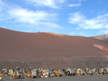 The spanish island of lanzarote