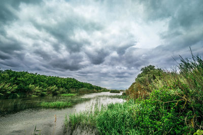 Scenic view of landscape against sky