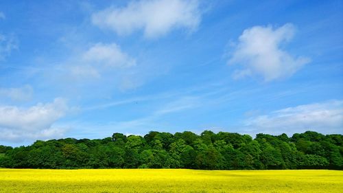 Scenic view of field against cloudy sky