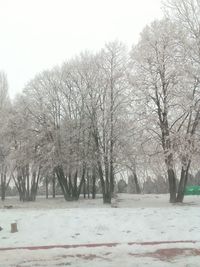 Trees against clear sky